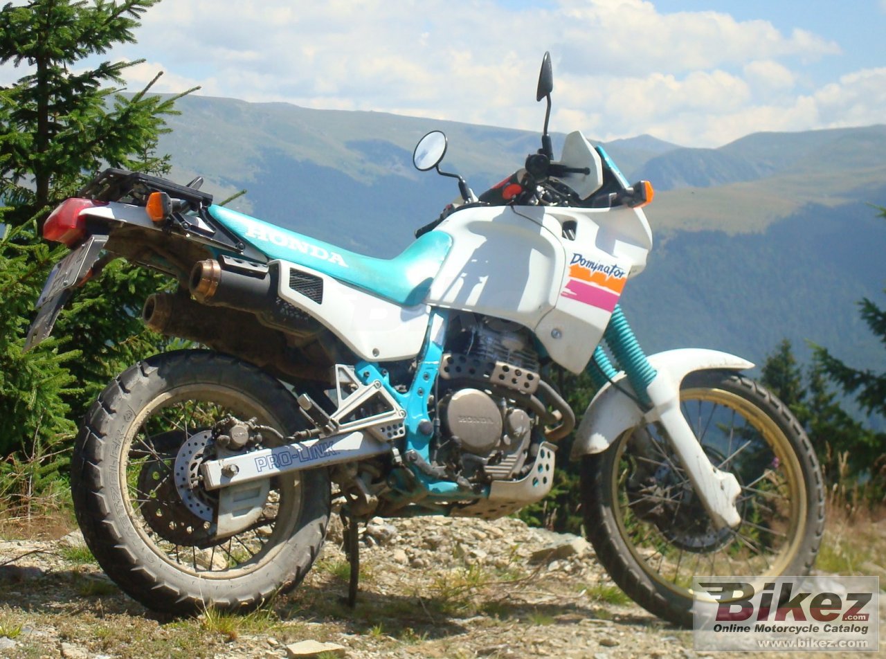 Big nymous user. nx 650 dominator picture and wallpaper from Bikez.com